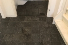 d3c5536c-479a-4ee1-ad53-dde8d8fb3d7a